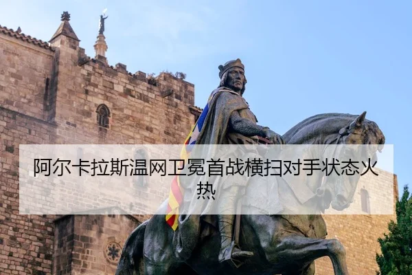 a-er-ka-la-si-wen-wang-wei-mian-shou-zhan-heng-sao-dui-shou-zhuang-tai-huo-re-2-532.jpg