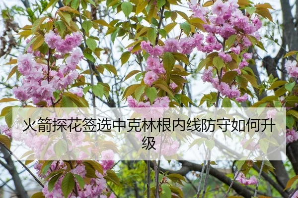 火箭探花签选中克林根内线防守如何升级