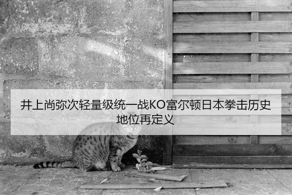 井上尚弥次轻量级统一战KO富尔顿日本拳击历史地位再定义