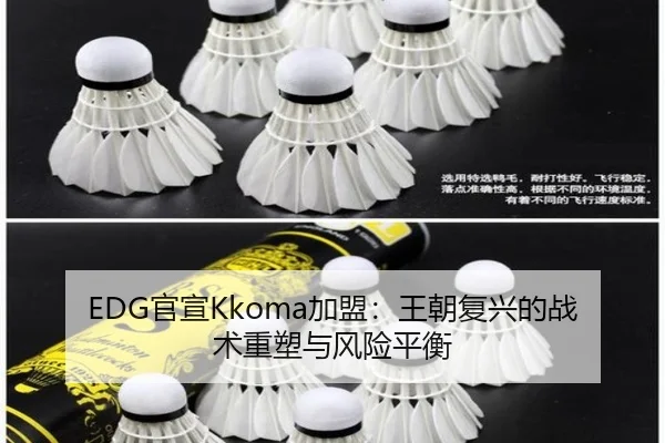 EDG官宣Kkoma加盟：王朝复兴的战术重塑与风险平衡